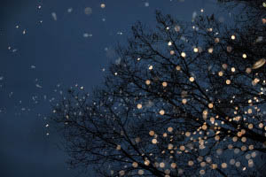 fota pou anavosvinoun