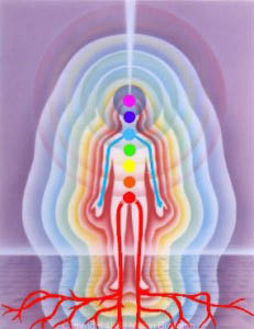 Body Mirror System
